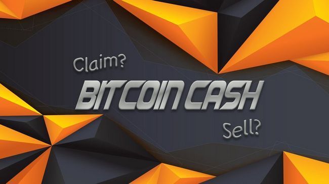 Что такое bitcoin cash и как их получить владельцами биткоинов