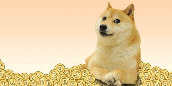Криптовалюта dogecoin — история, майнинг и перспективы «собачьей монеты»
