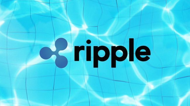 Обзор кошельков для хранения криптовалюты ripple (xrp)